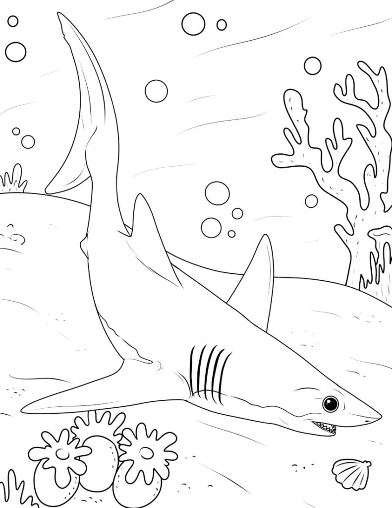 mako-shark-coloring-page